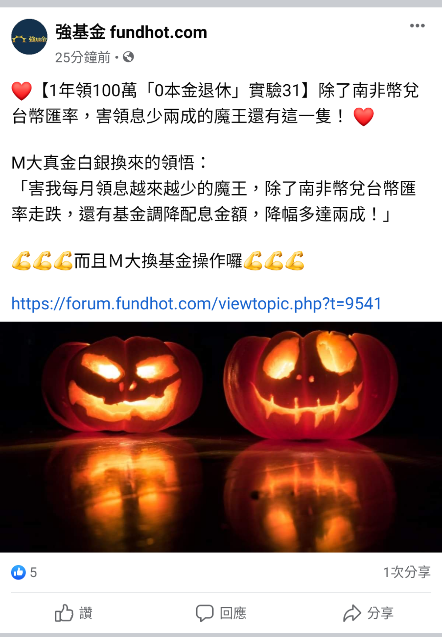 1年領100萬「0本金退休」實驗31】除了南非幣兌台幣匯率，害領息少兩成的魔王還有這一隻！ | 強基金fundhot