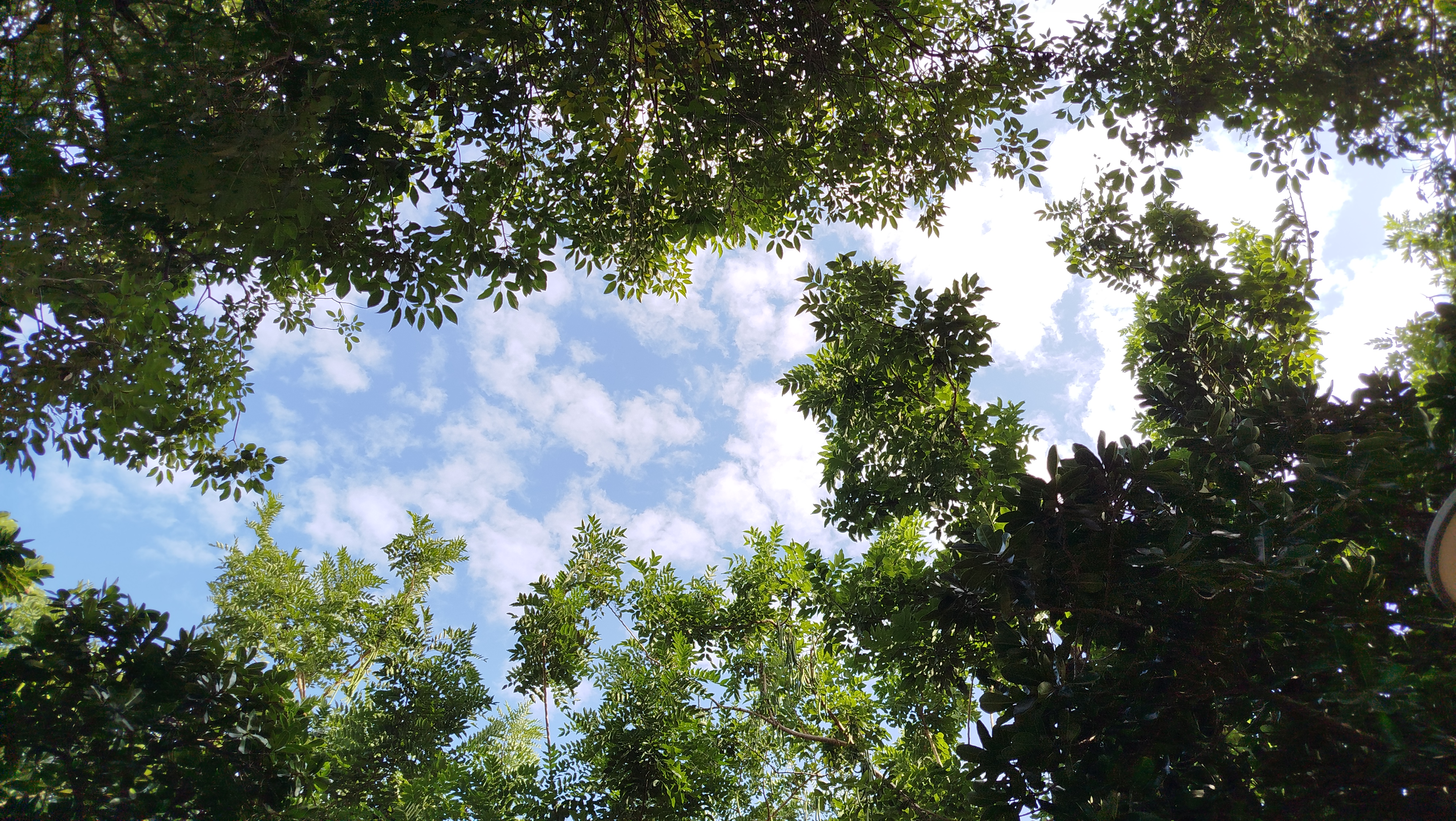 美元貶值時，歐洲基金的美元計價、美元避險、歐元計價，哪種表現較好？ | 強基金fundhot