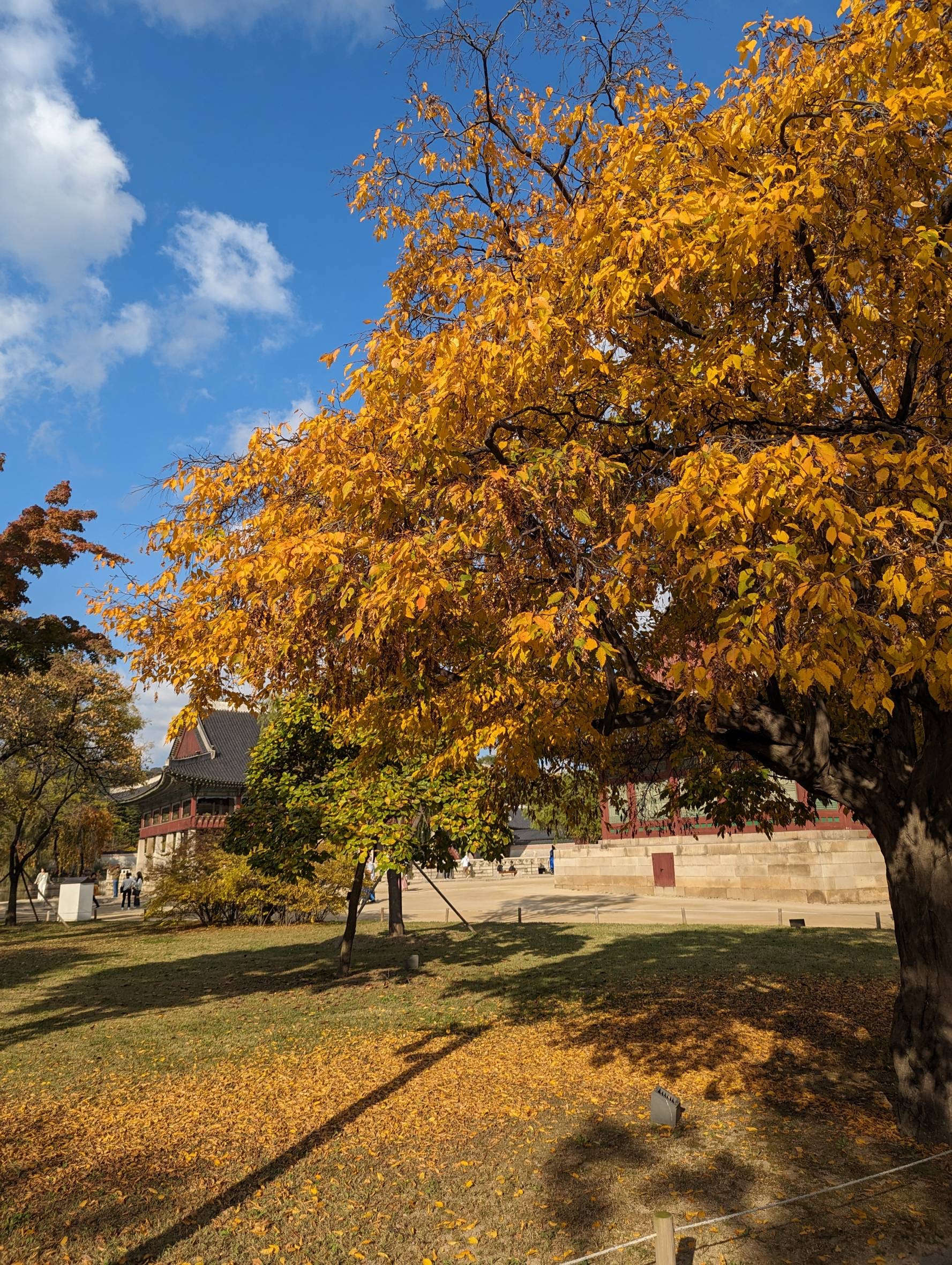 多年後，重回貝萊德世界礦業基金| 強基金fundhot